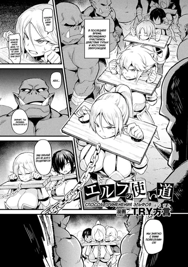 Способ применения эльфов (Elf no tsukaimichi)