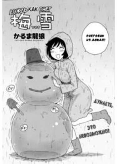 Rainsnow